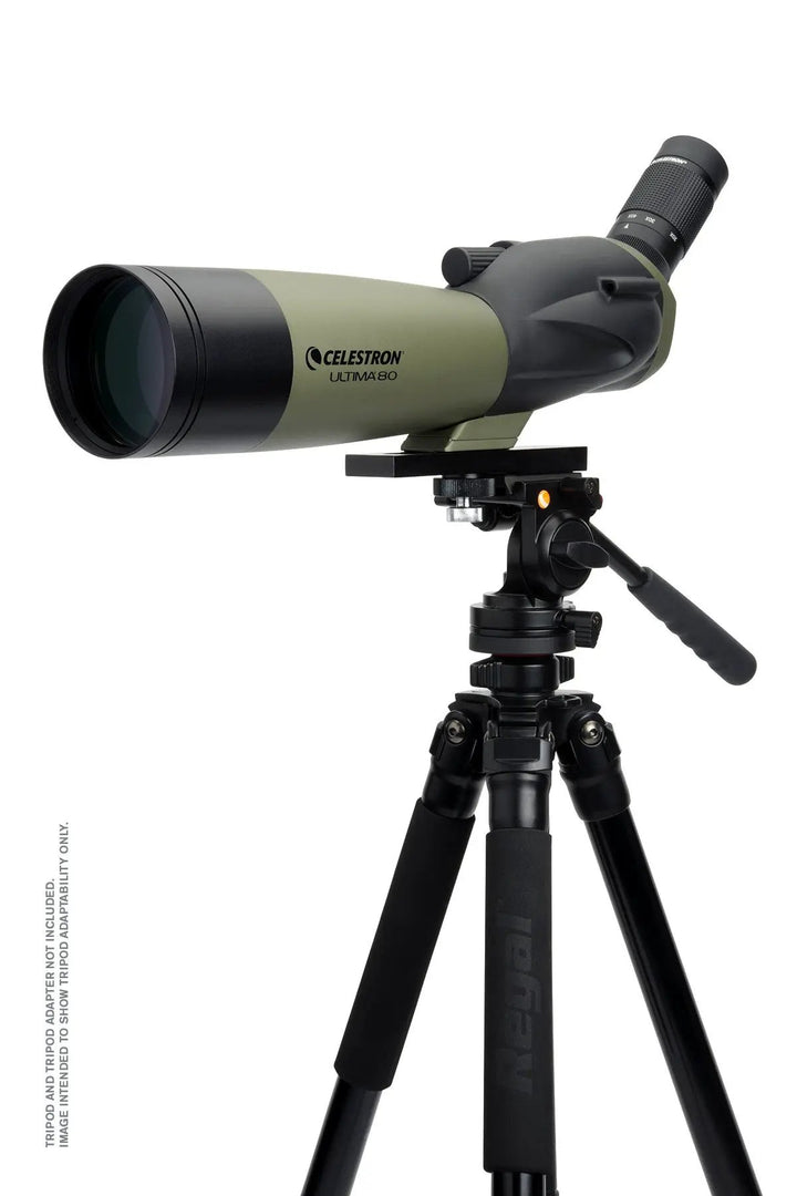 Ultima 20-60x80mm Angled Zoom Spotting Scope by Celestron