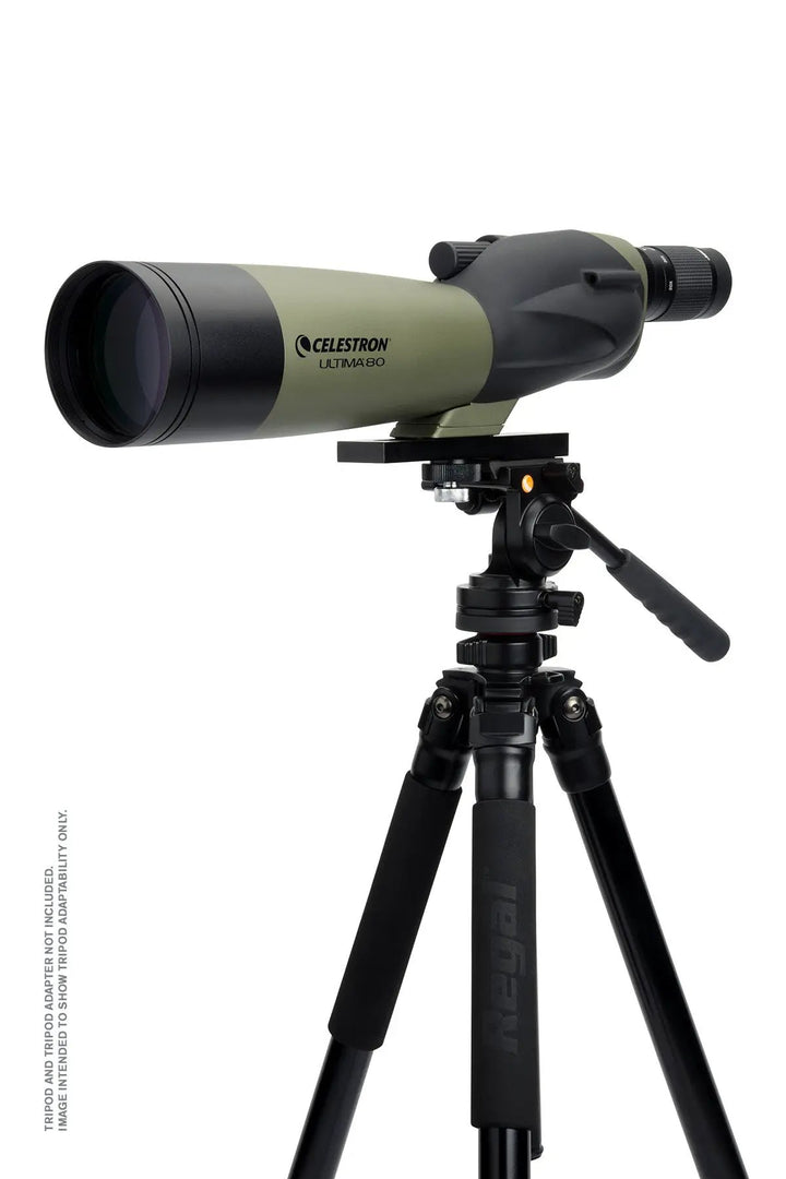 Ultima 20-60x80mm Straight Zoom Spotting Scope by Celestron