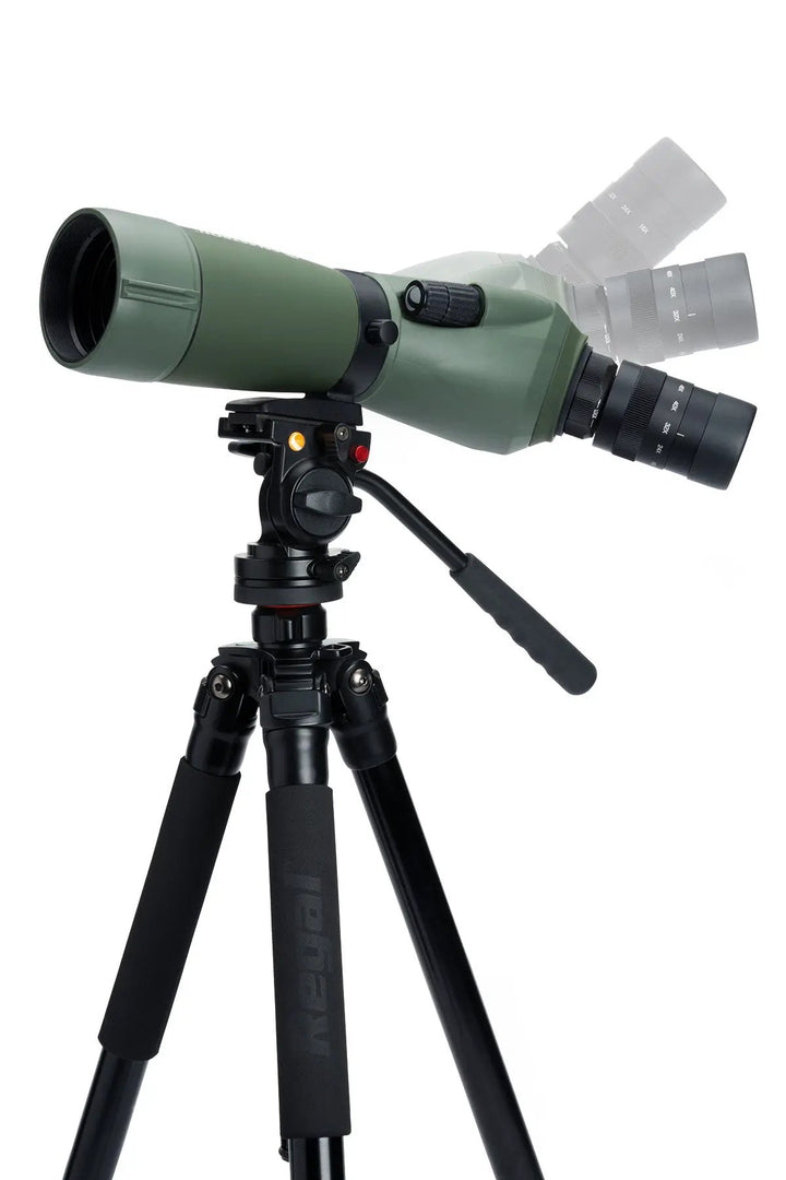 Regal M2 16-48x65mm ED Angled Zoom Spotting Scope by Celestron