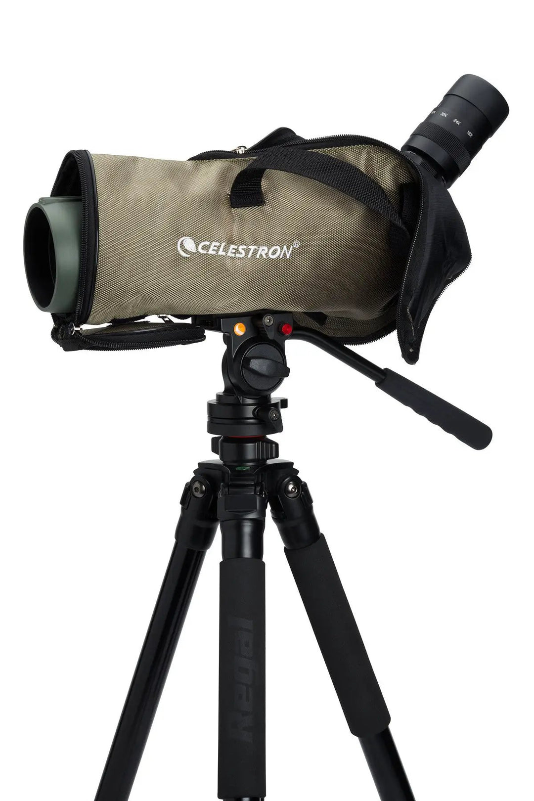Regal M2 16-48x65mm ED Angled Zoom Spotting Scope by Celestron