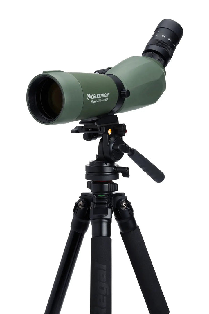 Regal M2 16-48x65mm ED Angled Zoom Spotting Scope by Celestron