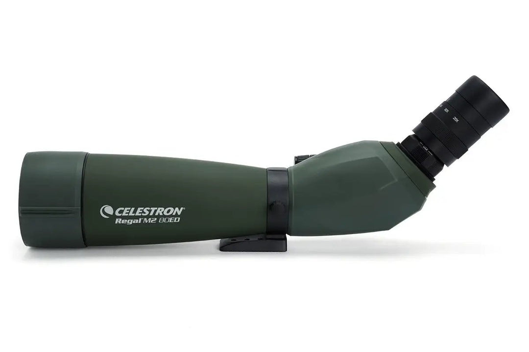 Regal M2 20-60x80mm ED Angled Zoom Spotting Scope by Celestron