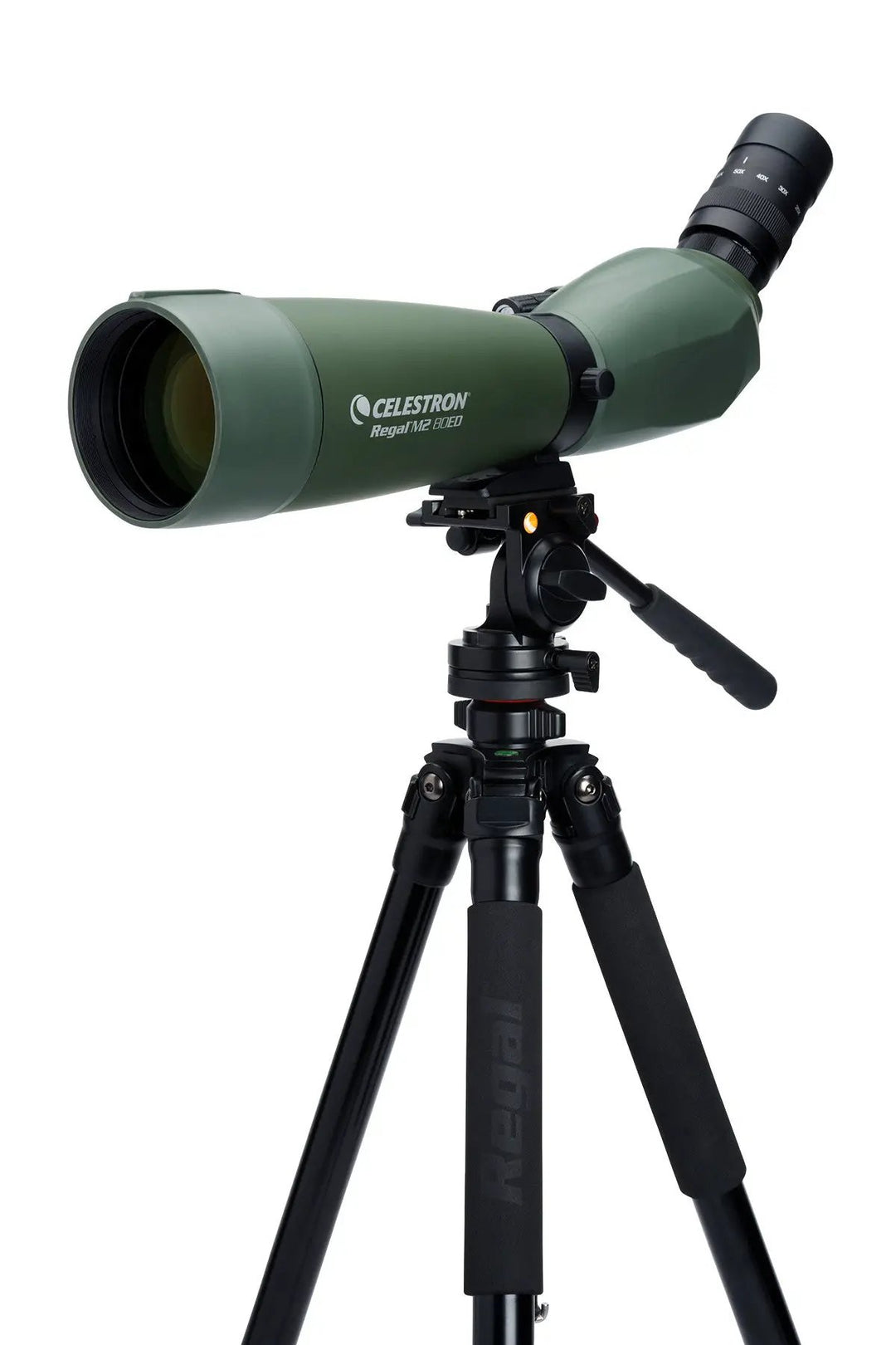 Regal M2 20-60x80mm ED Angled Zoom Spotting Scope by Celestron