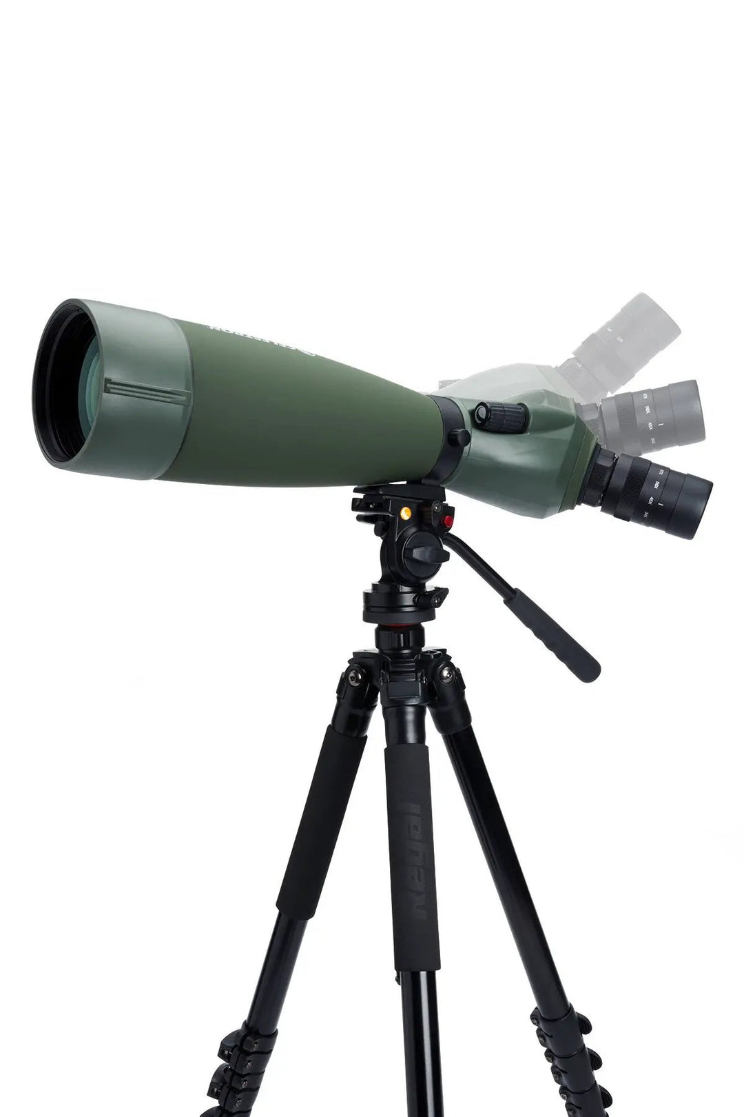 Regal M2 20-60x80mm ED Angled Zoom Spotting Scope by Celestron
