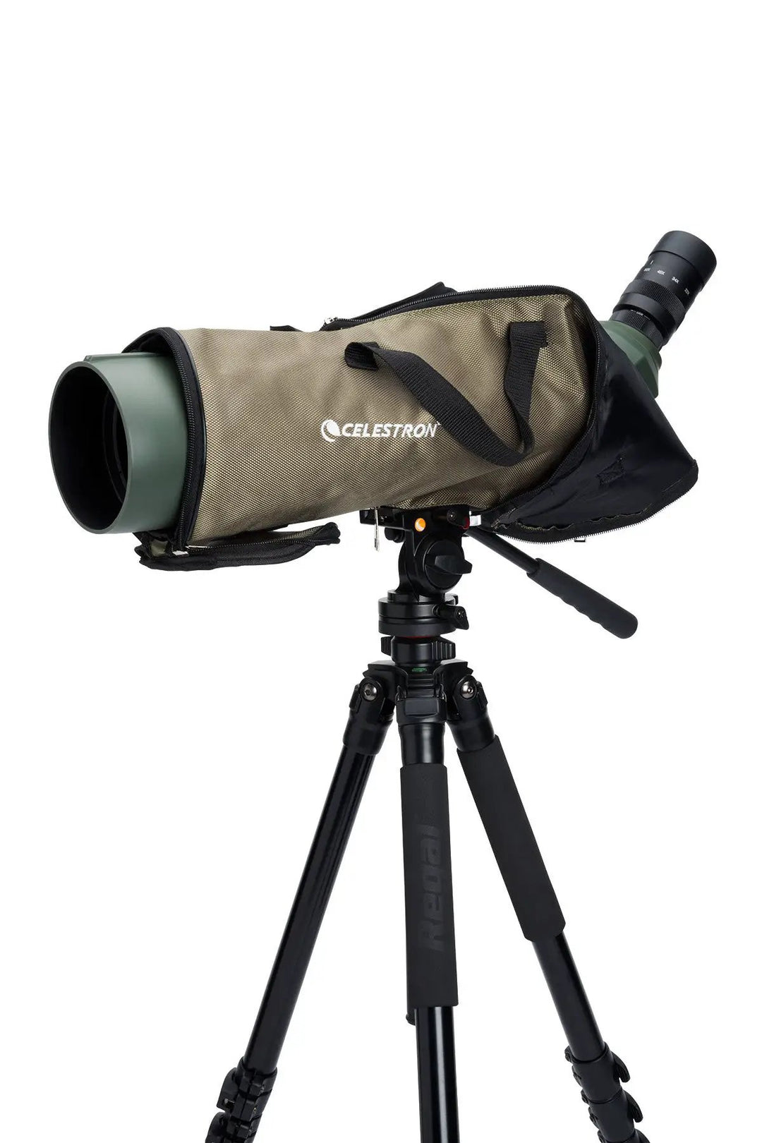 Regal M2 22-67x100mm ED Angled Zoom Spotting Scope by Celestron
