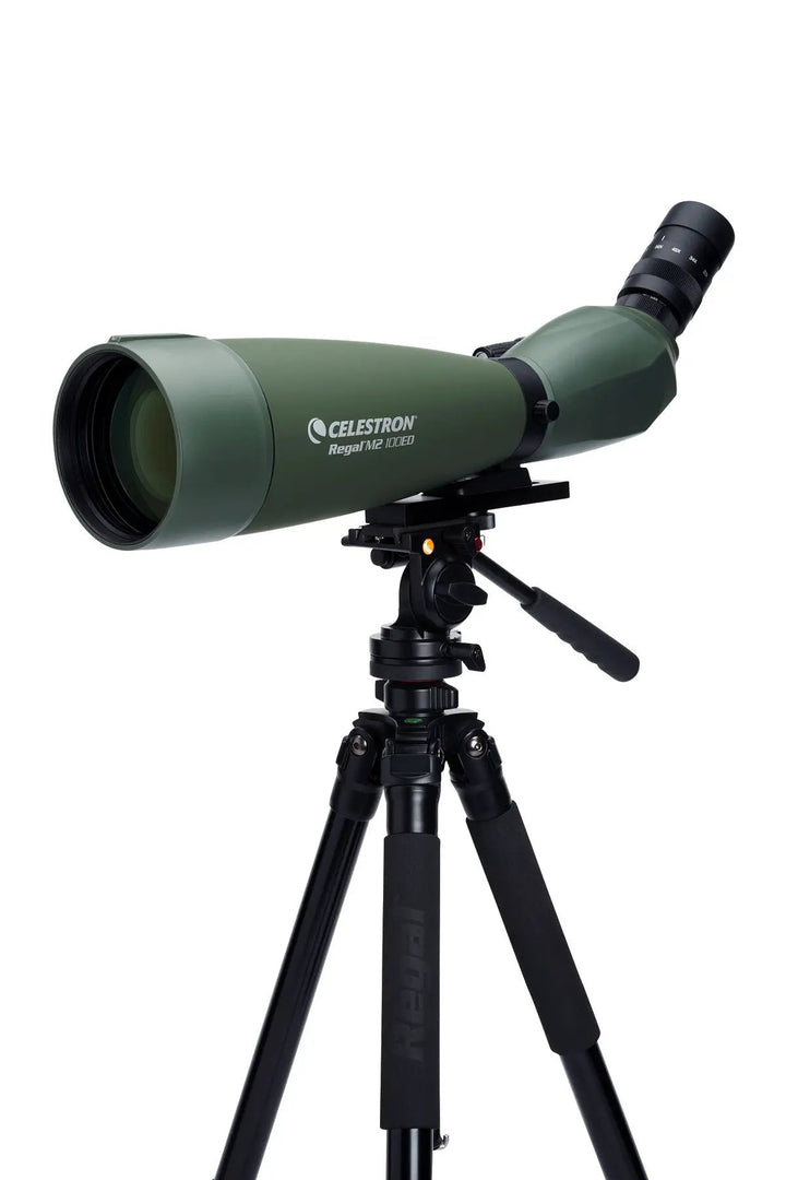 Regal M2 22-67x100mm ED Angled Zoom Spotting Scope by Celestron