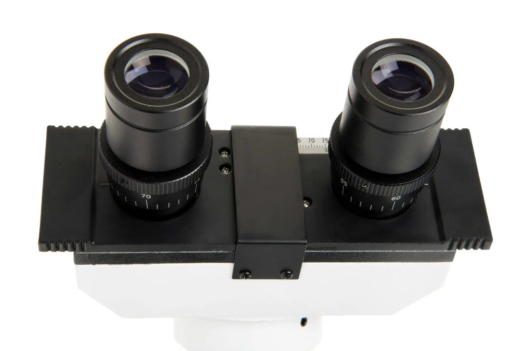 Celestron Labs CB2000CF Compound Microscope by Celestron