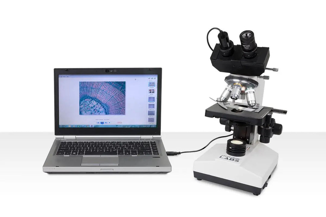 Celestron Labs CB1000CF Compound Microscope by Celestron