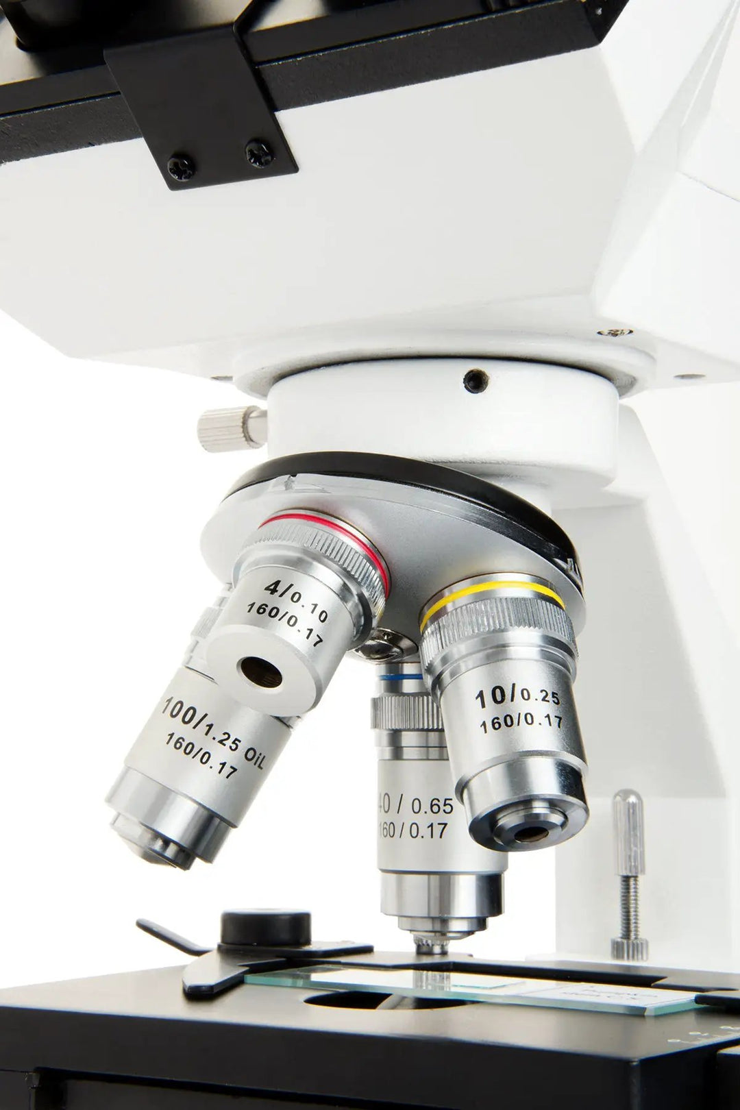 Celestron Labs CB1000CF Compound Microscope by Celestron