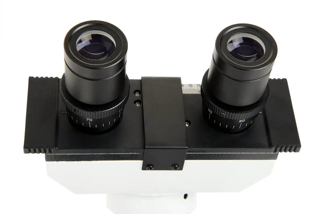 Celestron Labs CB1000CF Compound Microscope by Celestron