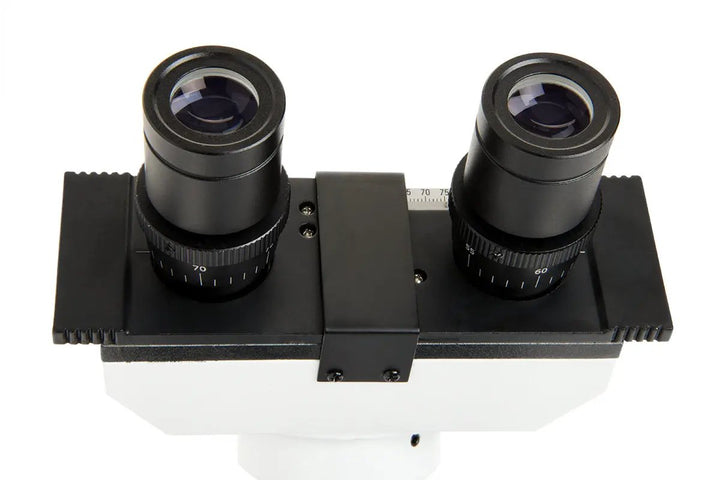 Celestron Labs CB1000CF Compound Microscope by Celestron