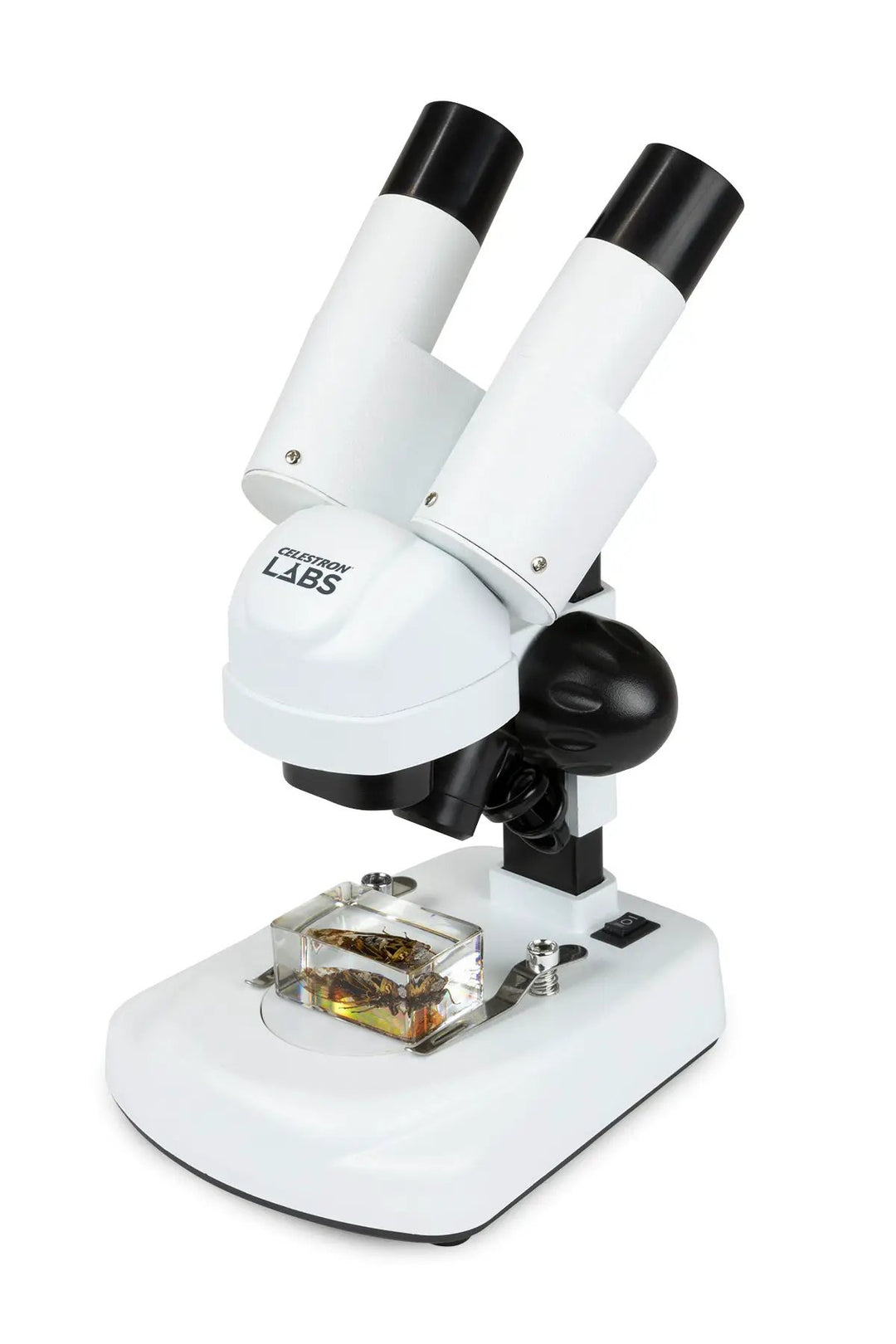 Celestron Labs S20 Angled Stereo Microscope by Celestron