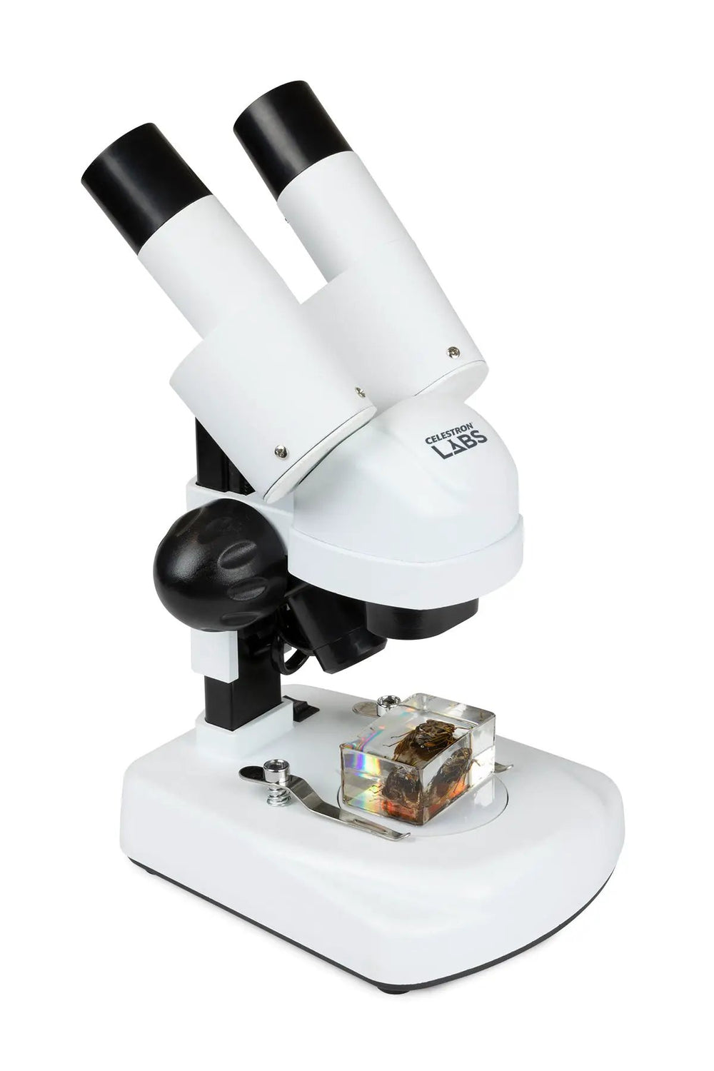 Celestron Labs S20 Angled Stereo Microscope by Celestron