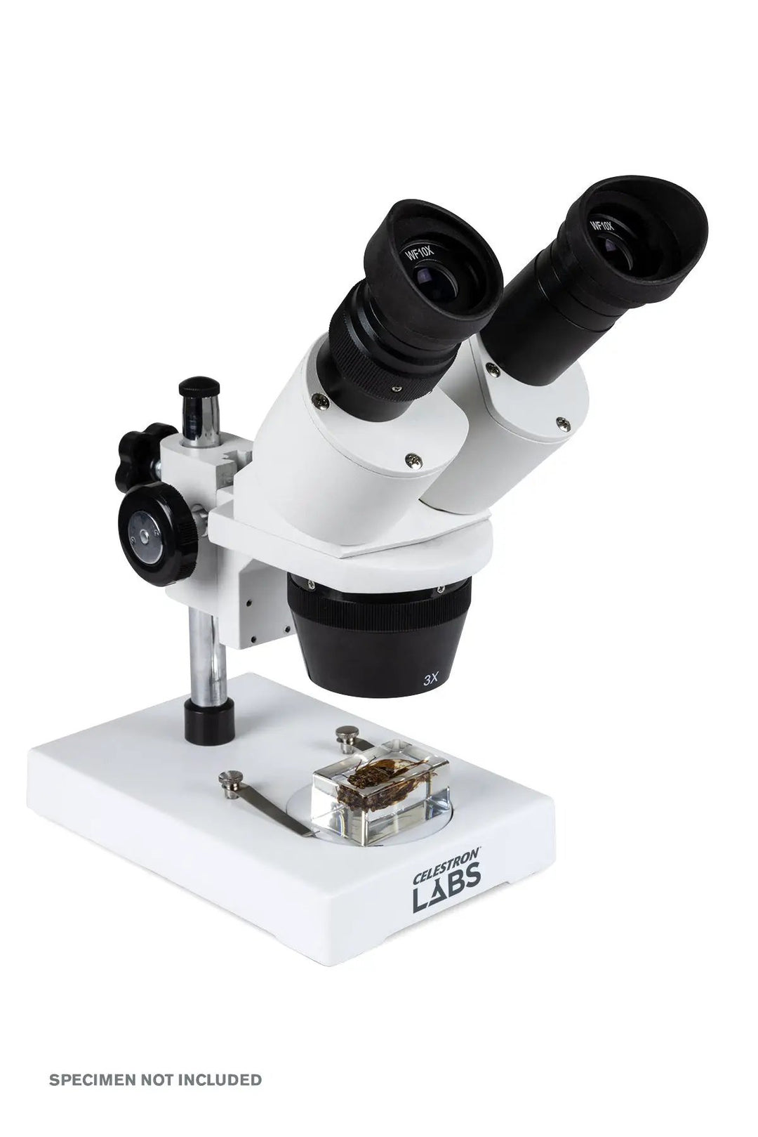 Celestron Labs S1030N Stereo Microscope by Celestron