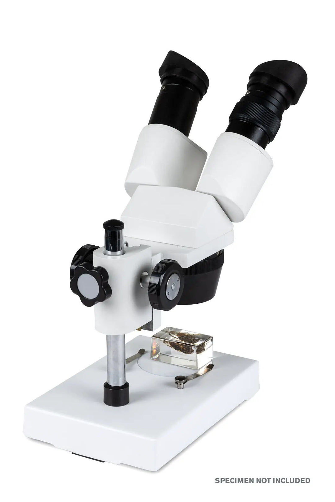 Celestron Labs S1030N Stereo Microscope by Celestron