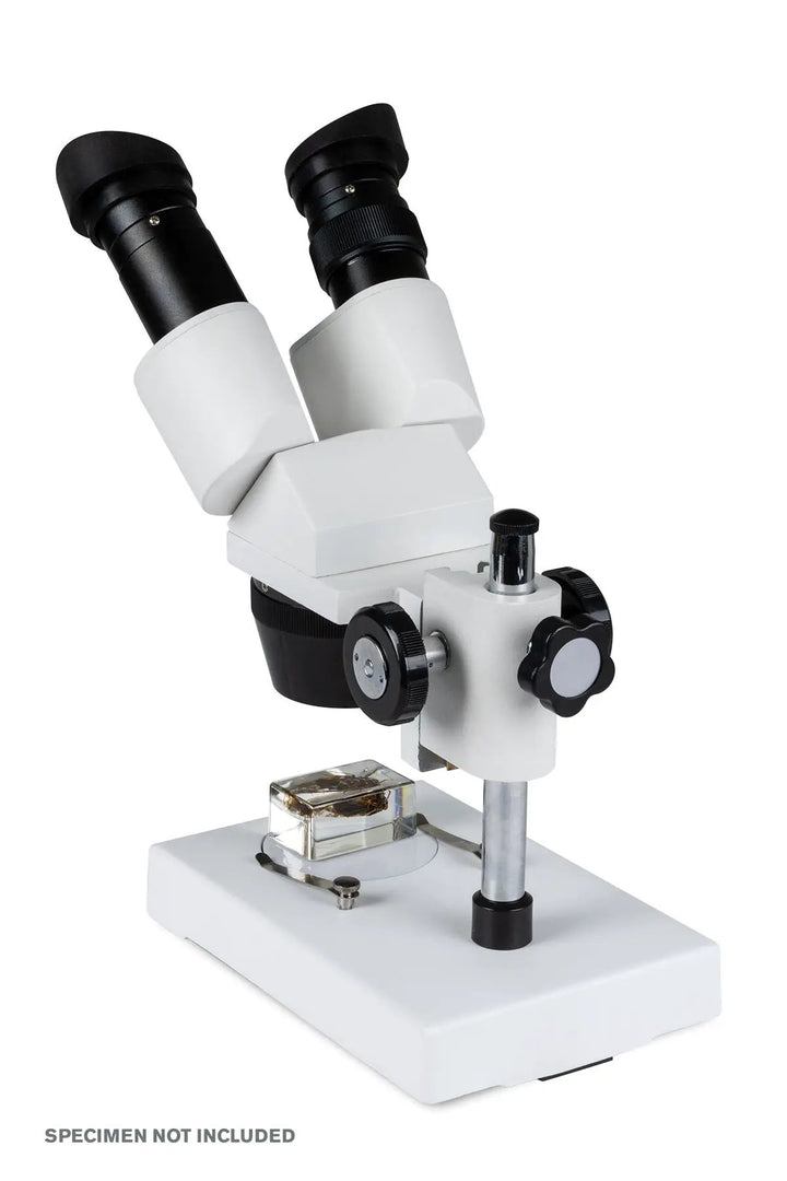 Celestron Labs S1030N Stereo Microscope by Celestron