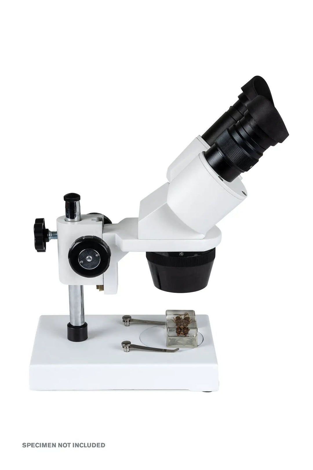 Celestron Labs S1030N Stereo Microscope by Celestron