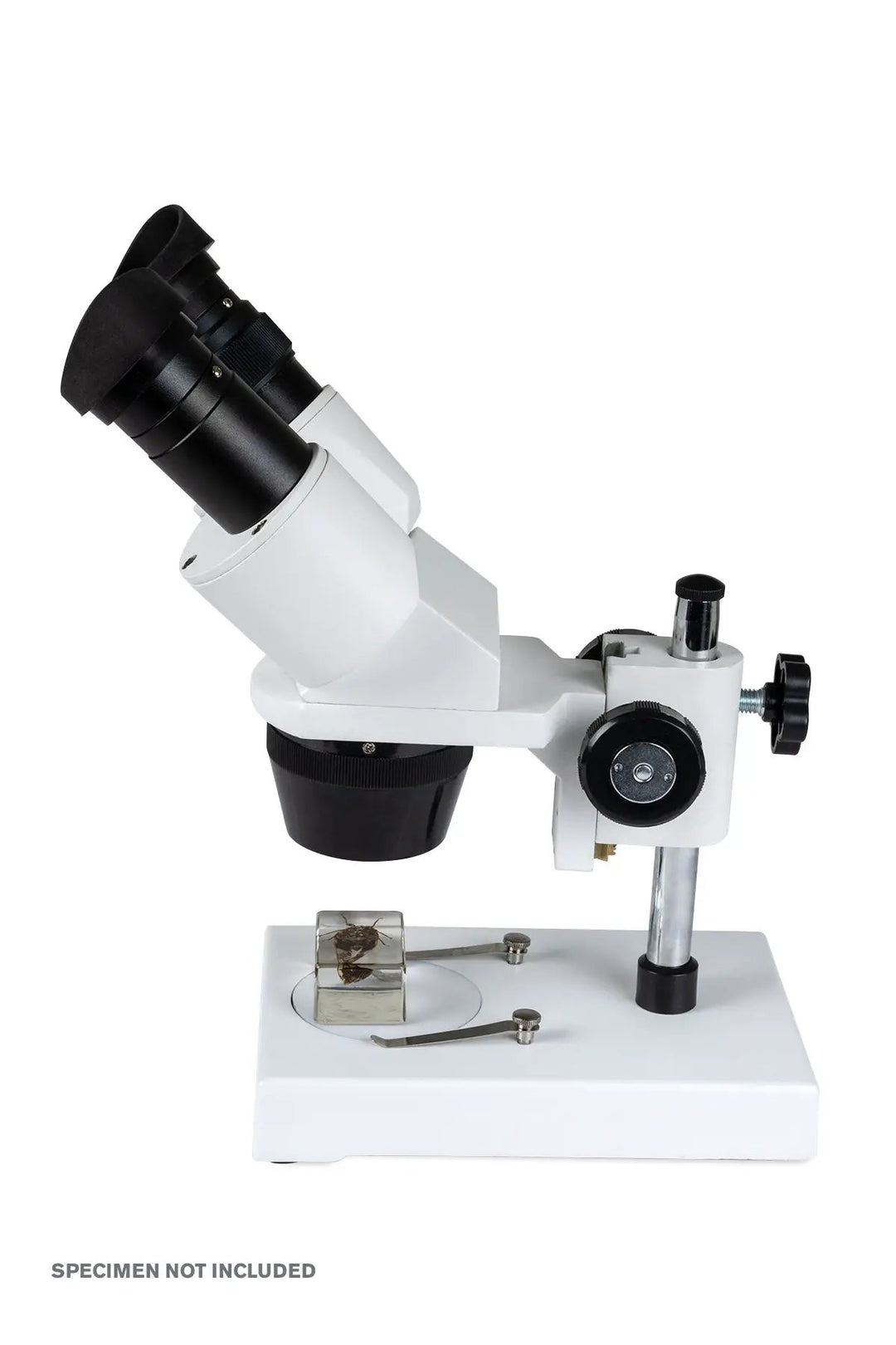 Celestron Labs S1030N Stereo Microscope by Celestron