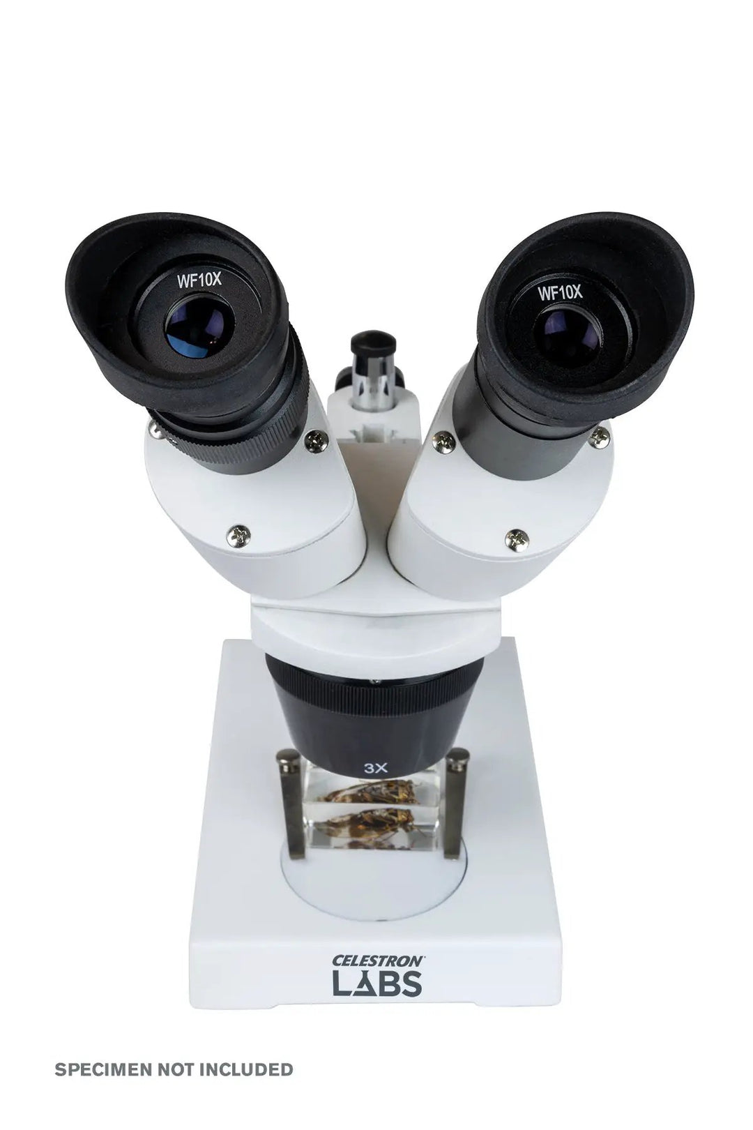 Celestron Labs S1030N Stereo Microscope by Celestron