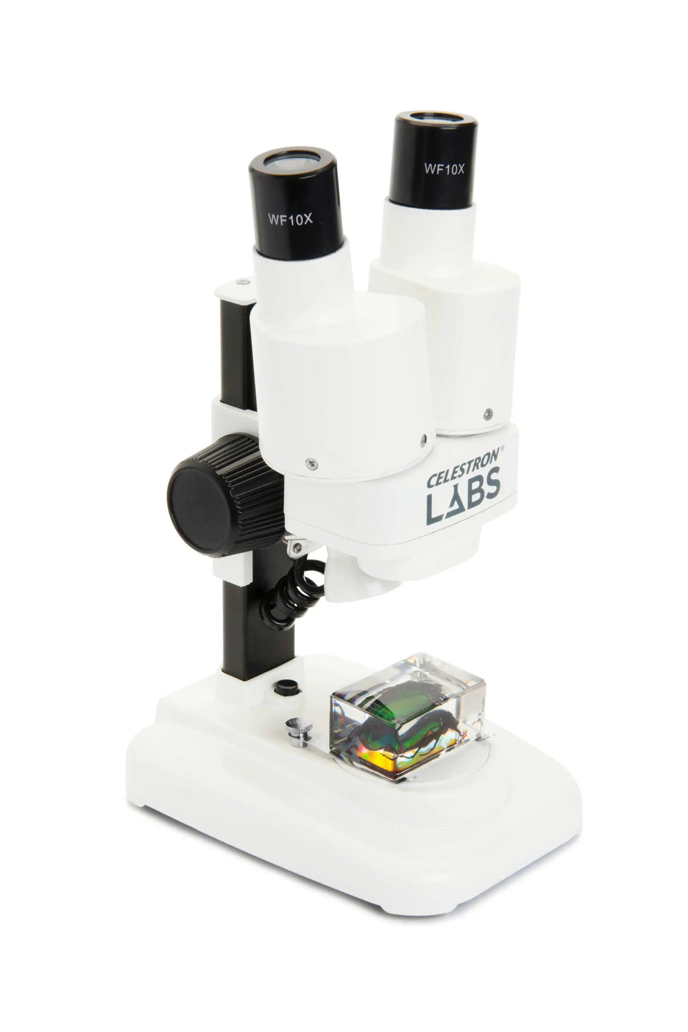 Celestron Labs S20 Stereo Microscope by Celestron
