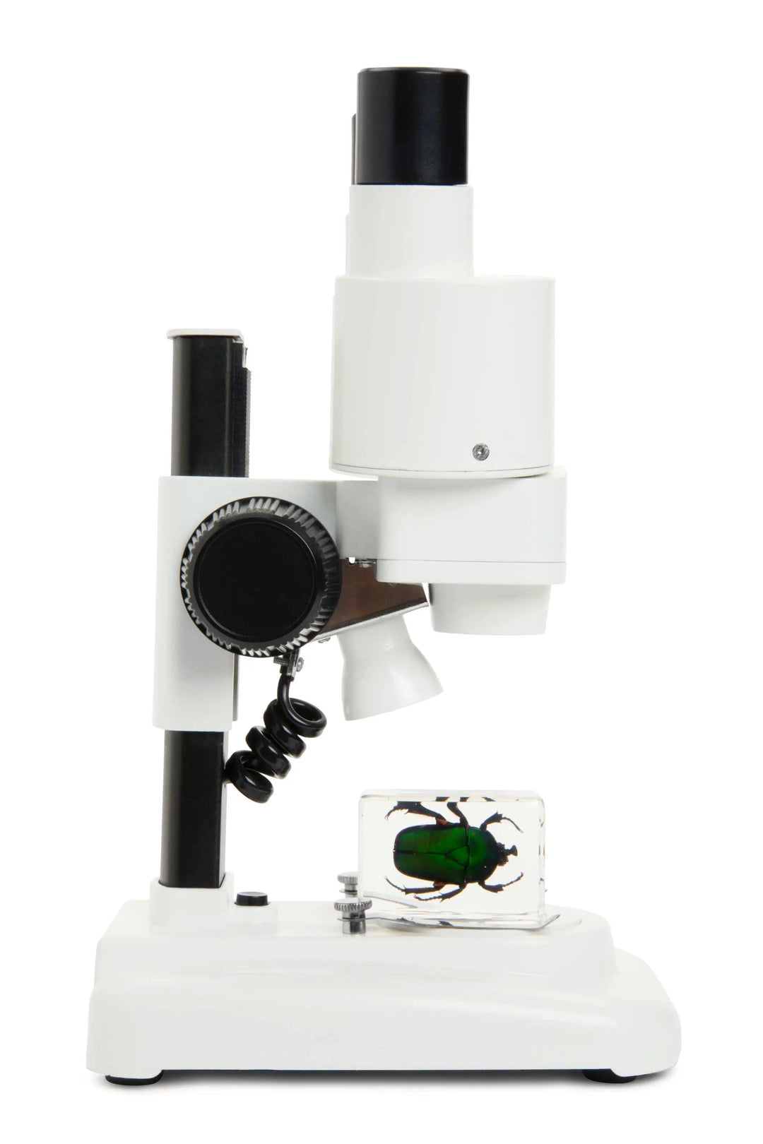 Celestron Labs S20 Stereo Microscope by Celestron