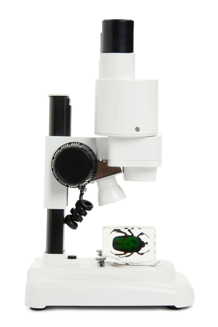 Celestron Labs S20 Stereo Microscope by Celestron