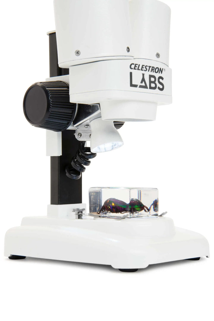 Celestron Labs S20 Stereo Microscope by Celestron