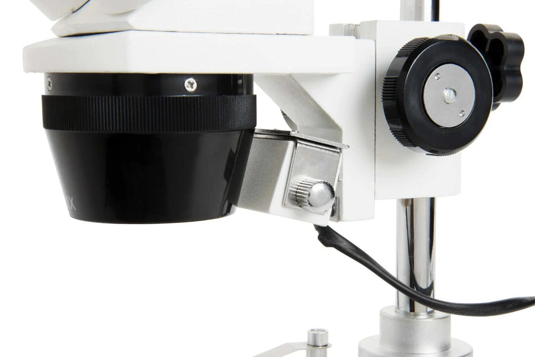 Celestron Labs S10-60 Stereo Microscope by Celestron