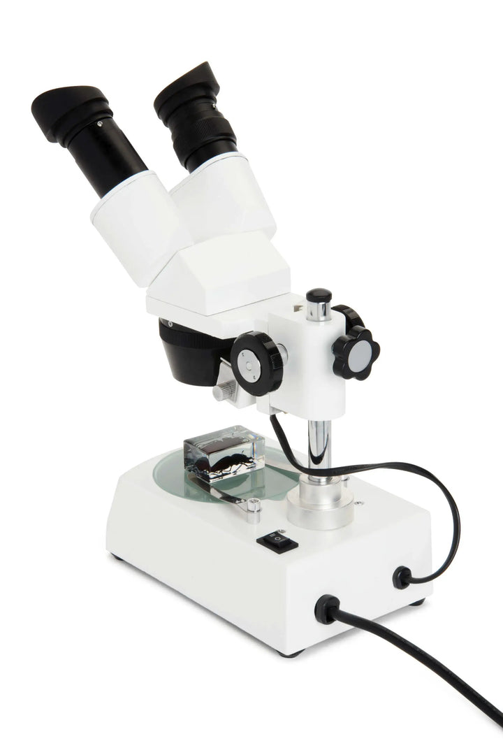 Celestron Labs S10-60 Stereo Microscope by Celestron