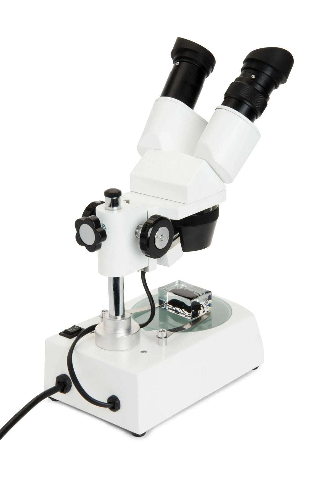 Celestron Labs S10-60 Stereo Microscope by Celestron