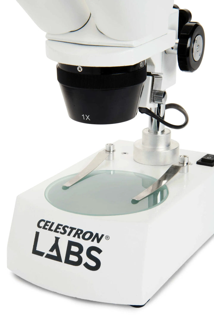 Celestron Labs S10-60 Stereo Microscope by Celestron