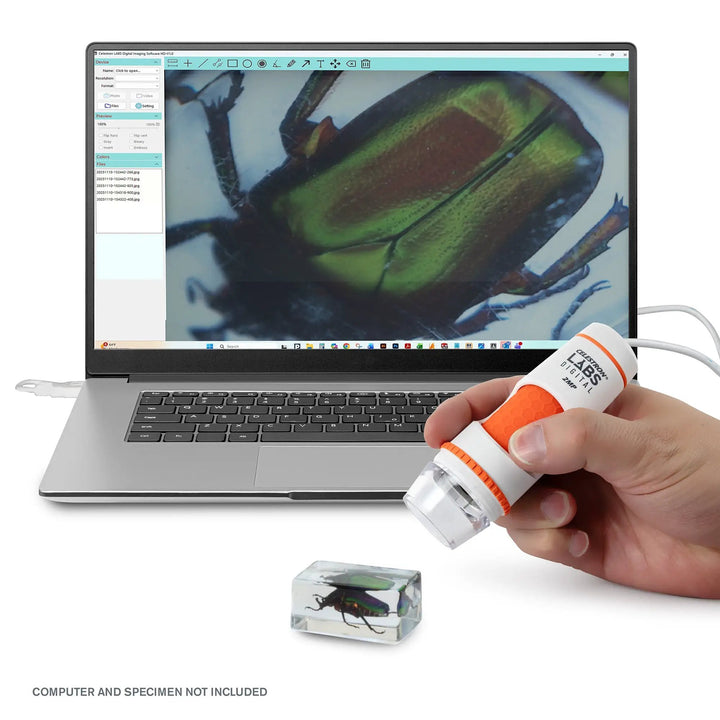 Celestron Labs Digital 2MP Handheld Microscope by Celestron
