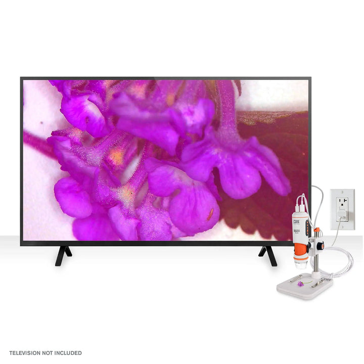 Celestron Labs Digital MicroDirect Microscope by Celestron
