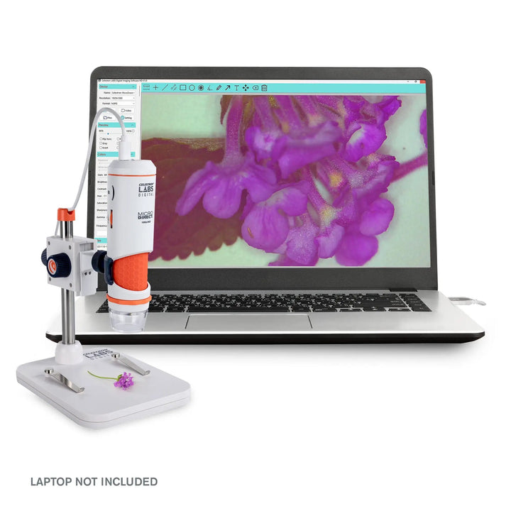 Celestron Labs Digital MicroDirect Microscope by Celestron