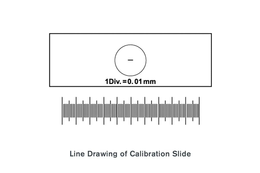 Microscope Calibration Slide by Celestron