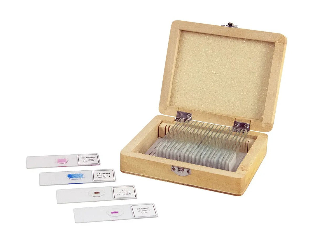 25 Piece Prepared Microscope Slide Kit by Celestron
