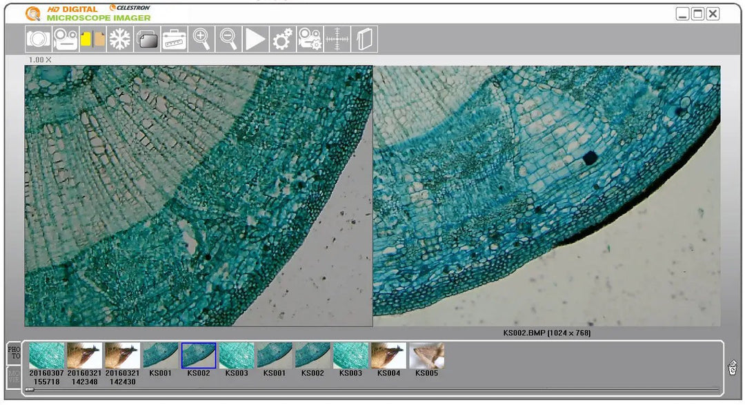 5MP Digital Microscope Imager by Celestron