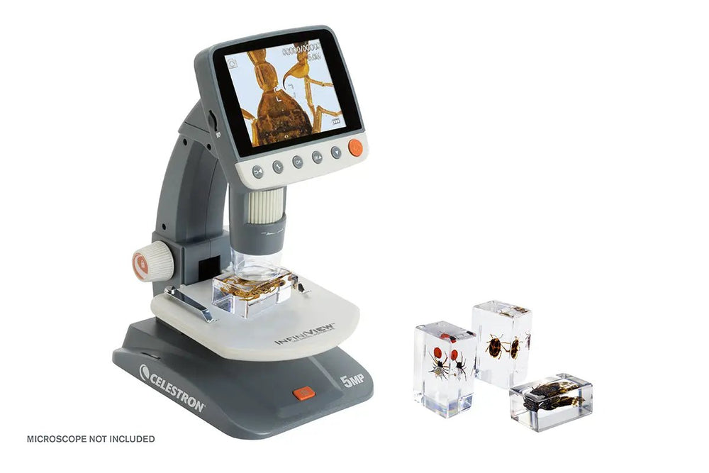 3D Bug Specimen Kit #4 by Celestron