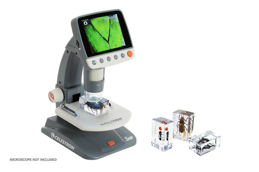 3D Bug Specimen Kit #5 by Celestron