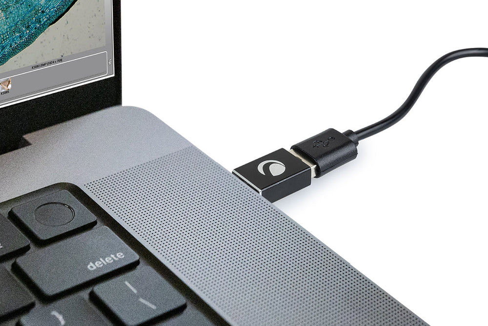 Celestron USB-C to USB-A converter (2-Pack) by Celestron