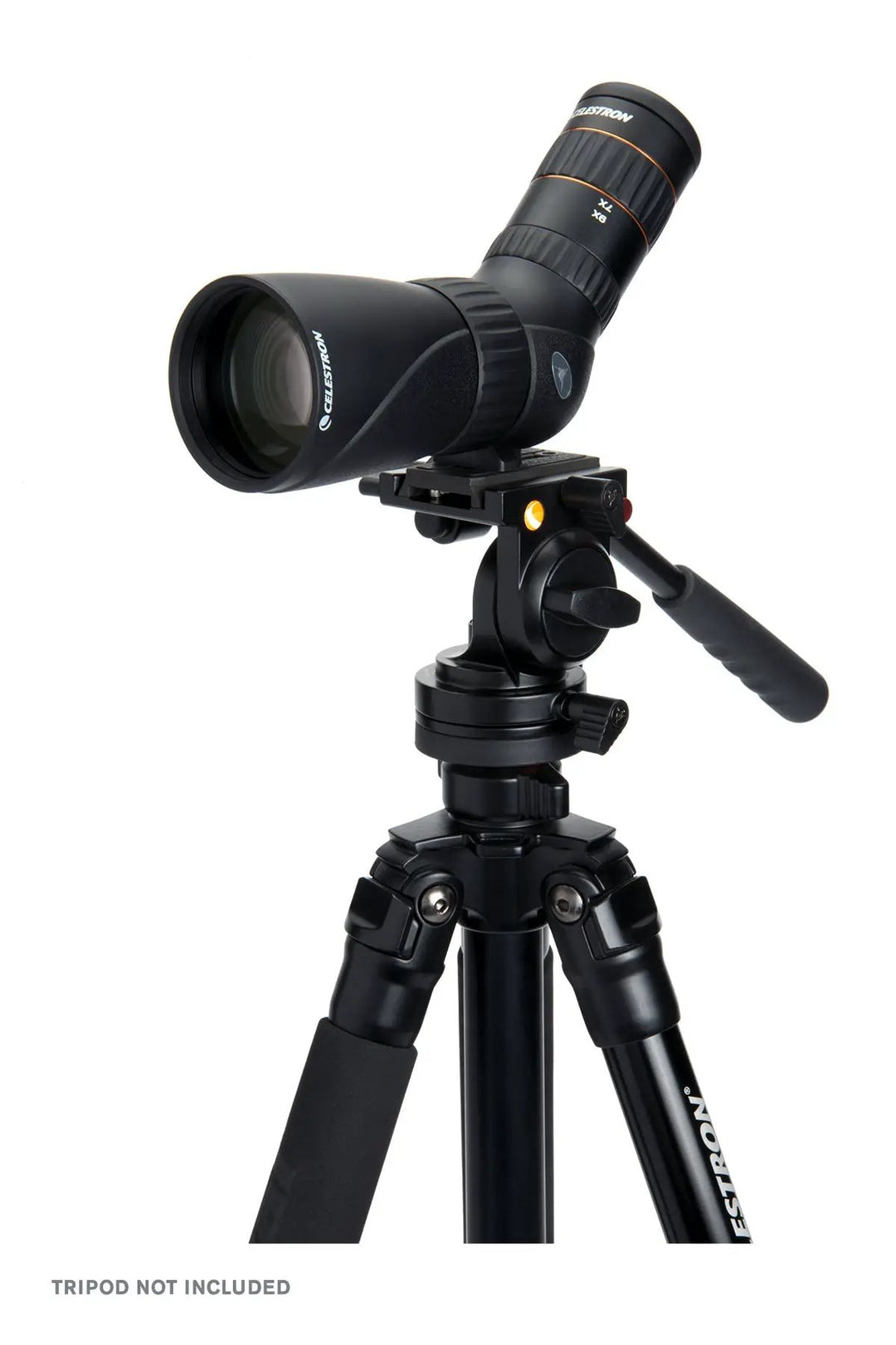 Hummingbird 9-27x56mm ED Angled Zoom Micro Spotting Scope by Celestron