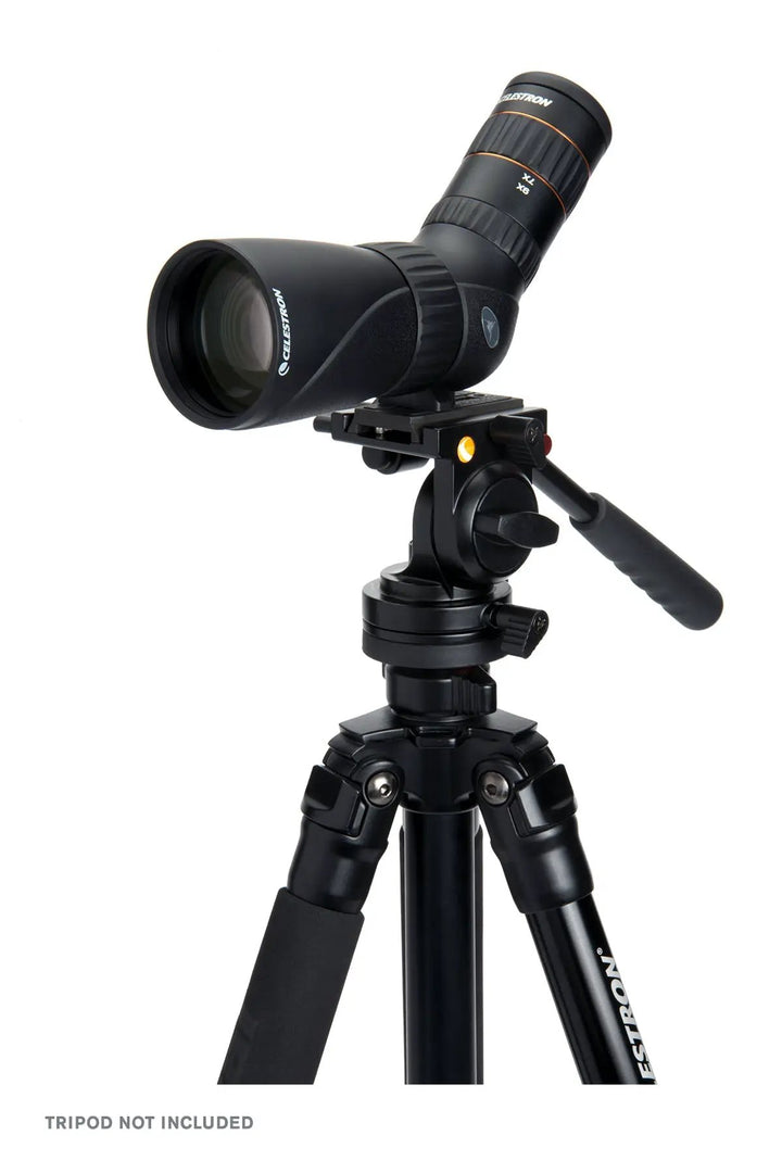 Hummingbird 9-27x56mm ED Angled Zoom Micro Spotting Scope by Celestron