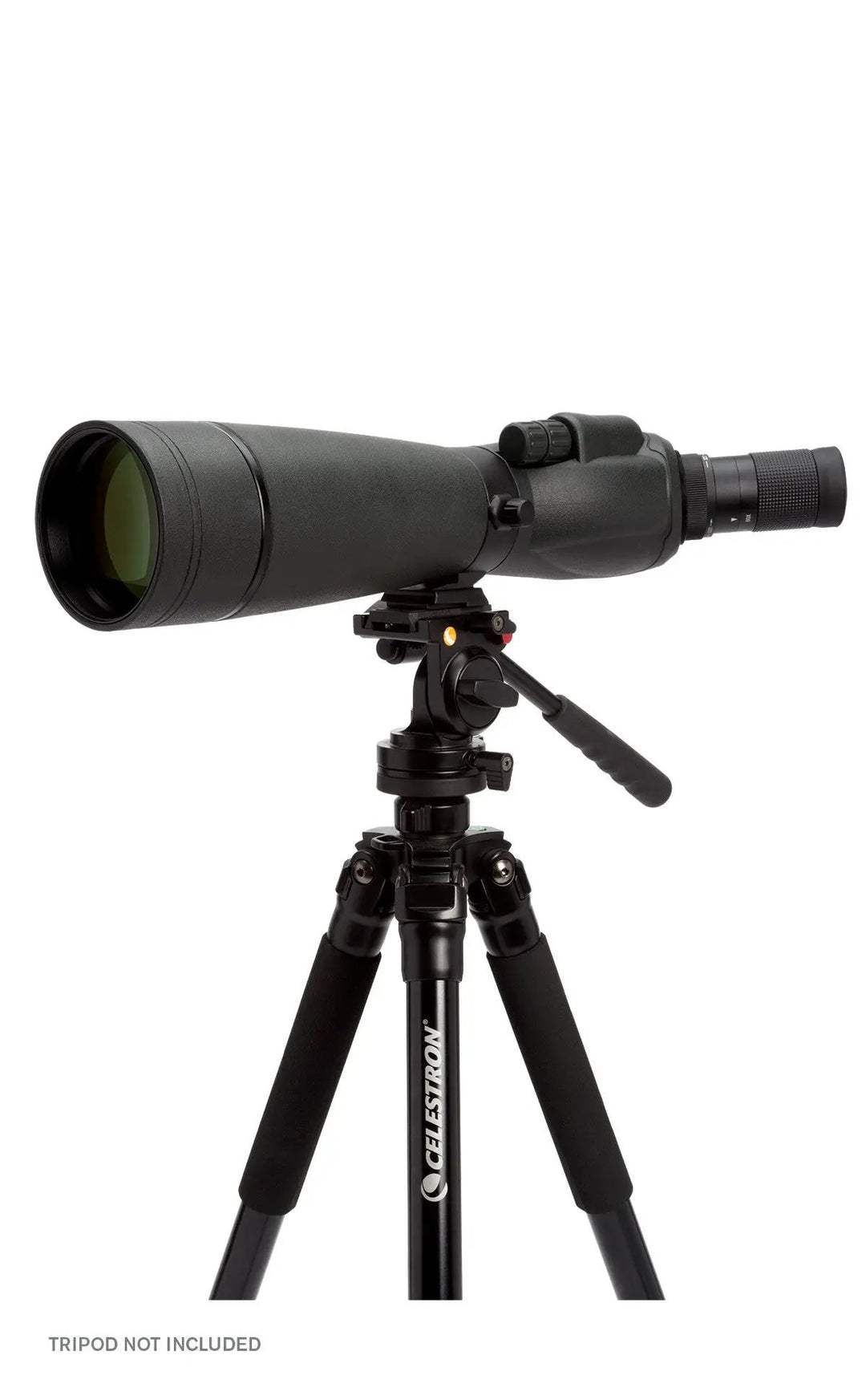 TrailSeeker 20-60x80mm Angled Zoom Spotting Scope by Celestron