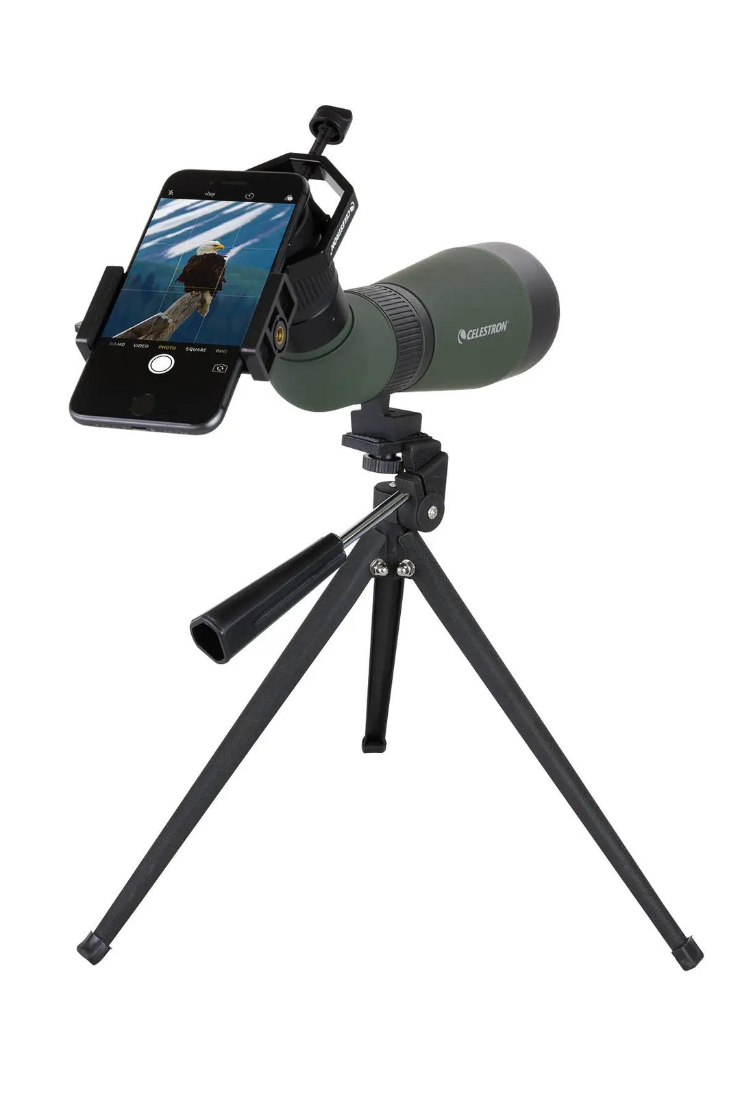 LandScout 12-36x60mm Angled Zoom Spotting Scope with Table-top Tripod and Smartphone Adapter by Celestron