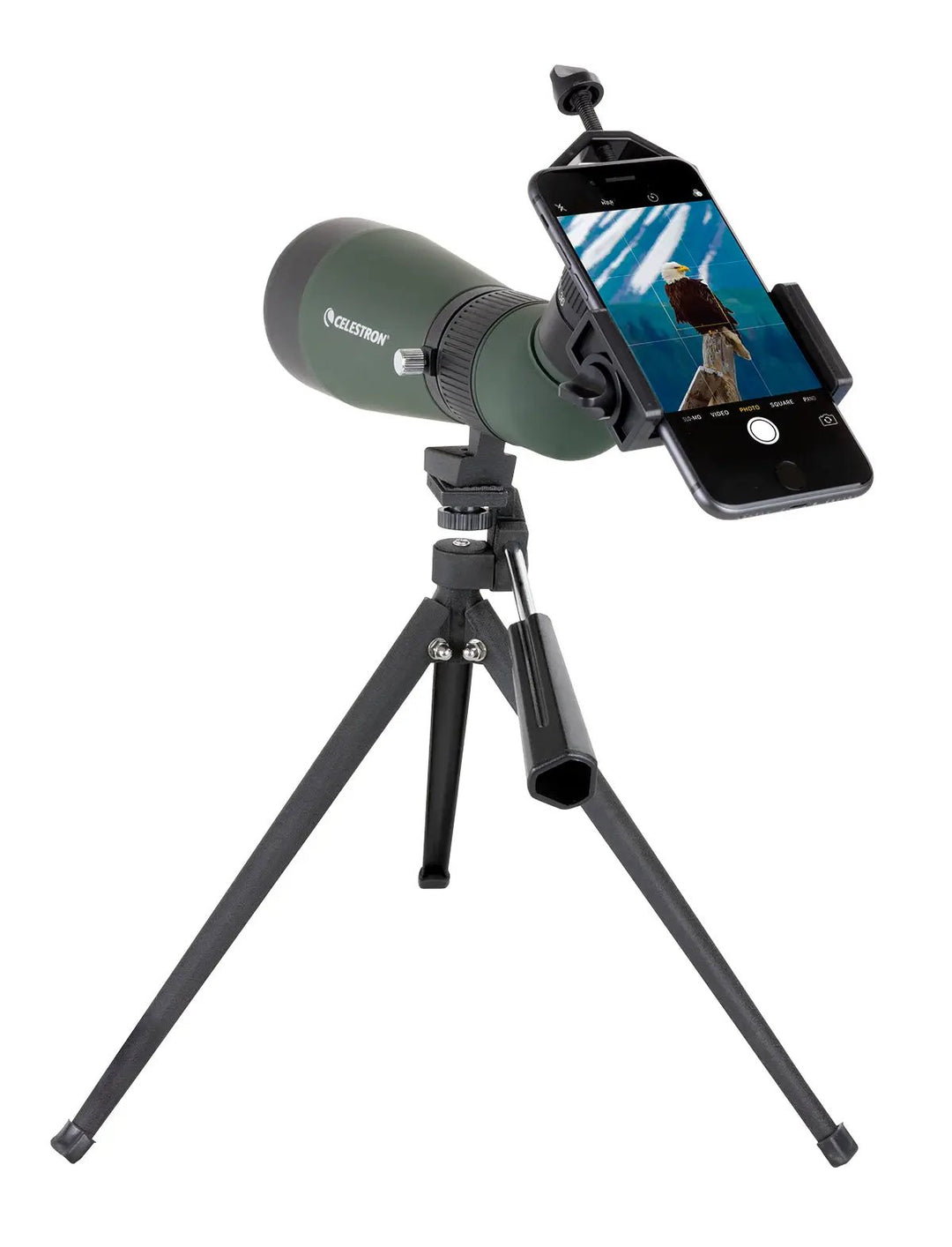 LandScout 12-36x60mm Angled Zoom Spotting Scope with Table-top Tripod and Smartphone Adapter by Celestron