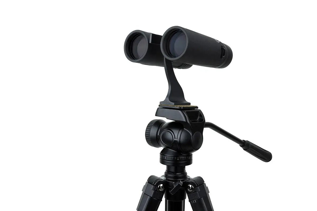 Regal ED 10x42mm Roof Binoculars by Celestron