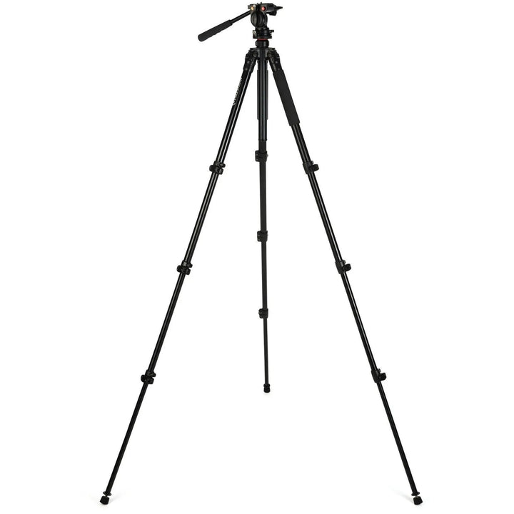 Regal Premium Tripod by Celestron