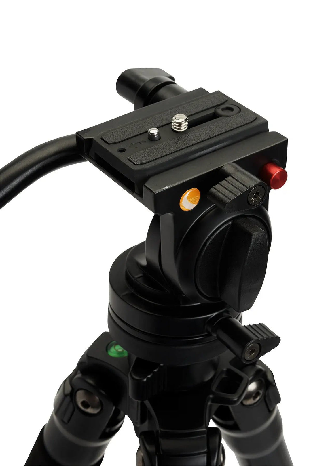 Regal Premium Tripod by Celestron