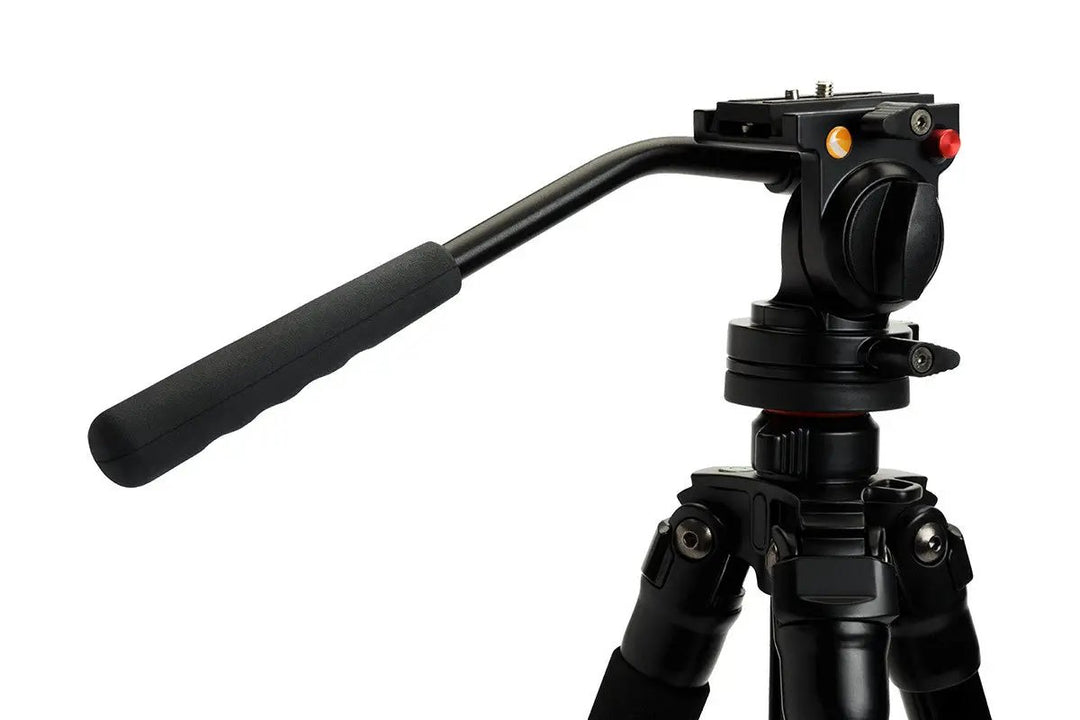 Regal Premium Tripod by Celestron