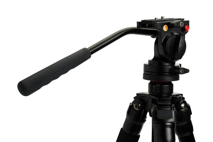Regal Premium Tripod by Celestron